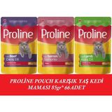 Proline Pouch Karışık Yaş Kedi Mama 66X 85 Gr