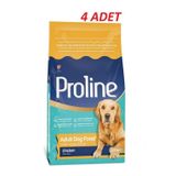 Proline Pro Line Tavuklu Yetişkin Köpek Maması 2,2 Kg*4 Adet
