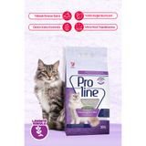 Proline Proline Lavanta Kokulu Kedi Kumu 10 Lt