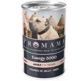 Promama Energy 5000 Yetişkin Biftekli Yaş Konserve Köpek Maması 400 Gr 36'Lı Koli - 452890