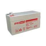 Promax Energy Promax 12 V 1.3 Amper Akü