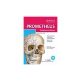 Prometheus Anatomi Atlası Cilt 3 (Baş, Boyun ve Nöroanatomi) - Michael Schünke