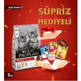 ProPlan Kitten Yavru Kedi Maması 2 Kg