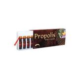 Propolis Extract Ekstrakt Likit 300mg x 10ml x 10 Ampul