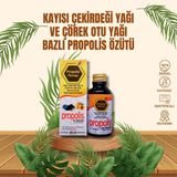 Propolis Therapy Kayısı Çekirdeği ve Çörek Otu Yağı Bazlı Propolis Ekstraktı 30 ml - Yüksek Çözünmüş Premium Gıda