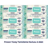 Proson Yüzey Temizlik Havlusu 100 Lü( 6lı) - 6 adet