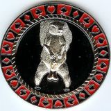 Protect Your Nuts Commerative Poker Ağırlık Kartı Koruyucu Kapak Çip