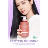 Protein Kompleksi İçeren Onarıcı Bakım Şampuanı Kundal Protein Bonding Shampoo 500ml (Leather Iris)