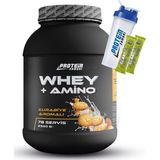 Protein Zamanı Whey Protein Tozu + Amino Kurabiye Aromalı 2340 Gr 78 Servis Shaker