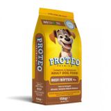 Proteo Biftekli 15 kg Yetişkin Köpek Maması