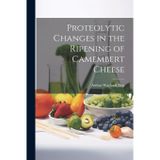 Proteolytic changes in the ripening of Camembert cheese