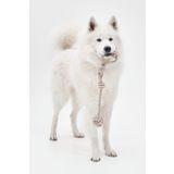 Proud Wave Köpek Oyuncağı Köpek Kemirme Oyuncağı Köpek Çekme Oyuncağı Halat Isırma Oyuncağı Diş Ipi Büyük Boy
