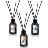Prova 3x100 ml Amber ve Vanilya Ferahlığı ile Peach Tea Cotton Flower Bambu Çubuklu Oda Kokusu