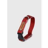 Provoq BT001 Bordo Köpek Boyun Tasması