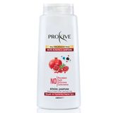 Proxive Tuzsuz Parabensiz Silikonsuz Boyasız Bitkisel Boya Koruyucu 650 ml Şampuan