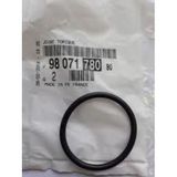 Psa 9807178080 Peugeot Su Kollektor Contası