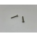 Psa Teknik M2X6 Ysb Minik Mikro Vida A2 Inox (10 Adet)