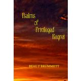 Psalms of Privileged Regret