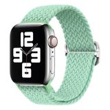 PSGT Watch Uyumlu Seri 1/2/3/4/5/6/se/7/8/9 38/40/41mm - S10-11(42MM) Kordon Pride - Teal Tint - 38-40-41MM