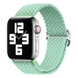 PSGT Watch Uyumlu Seri 1/2/3/4/5/6/se/7/8/9 Ultra/ultra2 42/44/45/49mm - S10-11(46MM) Kordon Pride - Teal Tint - 42-44-45-49MM
