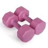 Psspor 2 Adet 3Kg Pembe Renk Dambıl Seti ( 2 Adet 3Kg Gönderim Yapılmaktadır)