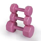 Psspor 3 Set Pembe Renk Dambıl Seti ( 2 Adet 1Kg - 2 Adet 2Kg - 2 Adet 3Kg Gönderim Yapılmaktadır)