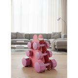 Psspor 3 Set Pembe Renk Dambıl Seti + Stand ( 2 Adet 1kg - 2 Adet 2kg - 2 Adet 3kg + Stand ) - 12 kg