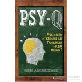 PSY-Q - Ben Ambridge