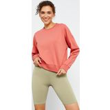 Pudra Basic Rahat Form O Yaka Kadın Sweatshirt - 97114