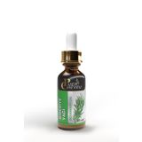 puer cheveu Biberiye Yağı Saç Dökülmesi ve Aşırı Yıpranmış Saçlar için Saç Bakımı 20 ml
