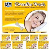 Pufai Breathe Fresh Burun Bandı Large Boy 66 Mm 19 Mm 100 Adet