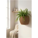Puffin Design Nest Duvar Saksısı