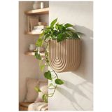 Puffin Design Wave Duvar Saksısı