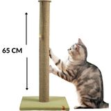 Pugalo Tırmalama Pugalo 65 cm Büyük Kedi Tırmalam Tahtası Catnipli Uzun Tırmalama Tahtası Minder Yüzey Fıstık Yeşili