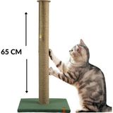 Pugalo Tırmalama Pugalo 65 cm Büyük Kedi Tırmalam Tahtası Catnipli Uzun Tırmalama Tahtası Minder Yüzey Yeşil
