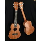 Puka Concert Ukulele Maun Ağacı Kılıf ve Pena