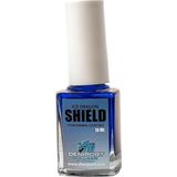 Pullsar Ice Dragon Shield - Likit Metal Koruyucu Vernik 13 Ml.