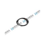 Pulo P1-rsb5-yt2c Sıs Far Cercevesı Sag Symbol Joy 17