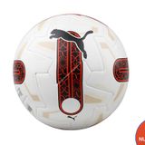 Puma 08419201 Beyaz Futbol Topu
