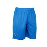 Puma 60547201 Turkey Practice Short Mavi Türkiye Erkek Basketbol Şortu