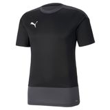 Puma 65648203 Teamgoal 23 Erkek Siyah Futbol Tişört