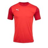 Puma 65648401 Team Goal 23 Sideline Tee Bisiklet Yaka Kısa Kol Tshirt