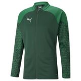 Puma 65798305 Teamcup Training Jacket Yeşil Erkek Ceket