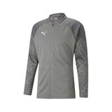 Puma 65798313 Gri Teamcup Training Jacket Erkek Futbol Antrenman Ceketi