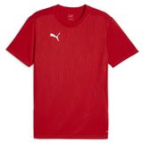 Puma 65855701 Kırmızı Teamfinal Training Jersey Futbol Antrenman Erkek T-Shirt
