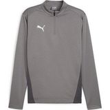 Puma 65862913 Gri Teamgoal Training 1/4 Zip to Erkek Futbol Antrenman Uzun Kollu Üst