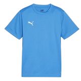 Puma 65863602 Teamgoal Jersey Mavi Erkek Forması