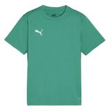 Puma 65863605 Yeşil Teamgoal Jersey Futbol Antrenman Erkek T-Shirt