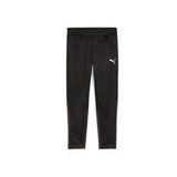 Puma 65863903 Teamgoal Training Pant Siyah Erkek Futbol Antrenman Eşofman Altı