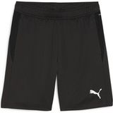 Puma 65864303 Teamgoal Training Short Siyah Erkek Futbol Antrenman Şortu